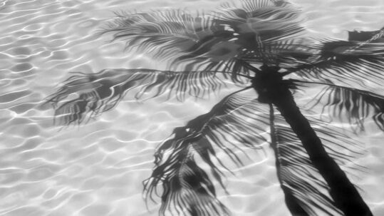 Urgency Is a Convincing Liar