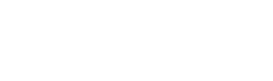 Fetching Finn Inc.